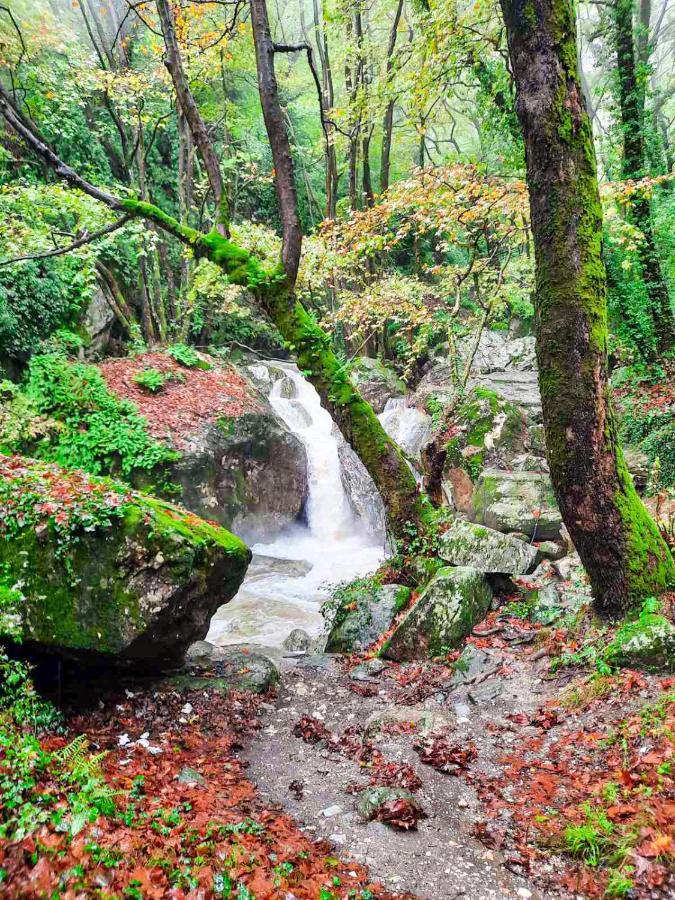 A Dream Deferred Villa Pelion Кіссос Екстер'єр фото