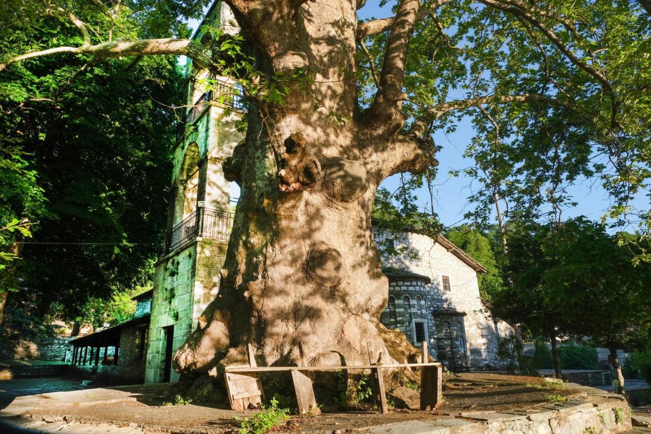 A Dream Deferred Villa Pelion Кіссос Екстер'єр фото