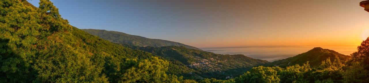 A Dream Deferred Villa Pelion Кіссос Екстер'єр фото